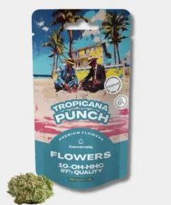 Tropicana Punch 20% 10-OH-HHC Blüten - Canntropy